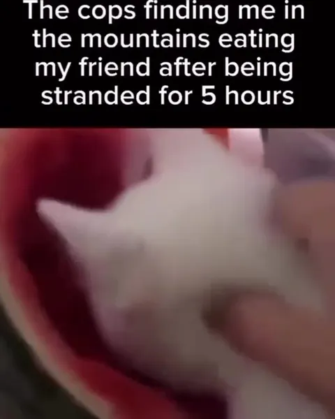 Cops Find Cat Eating Friend