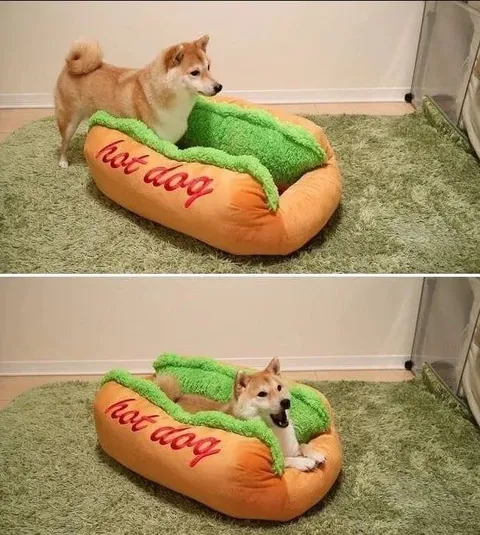 Dog in a Hot Dog Bed