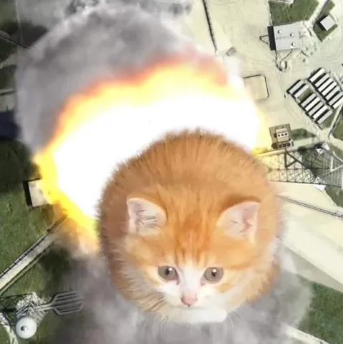 Котёнок на фоне взрыва