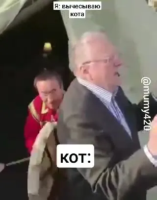 Я вычесываю кота
