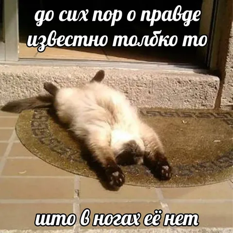 Правды в ногах нет