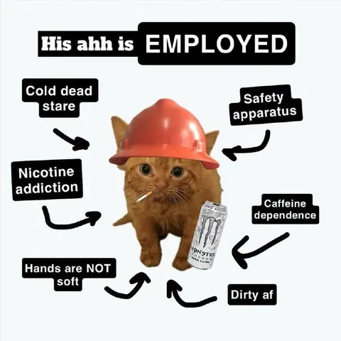 Employed cat with bad habits