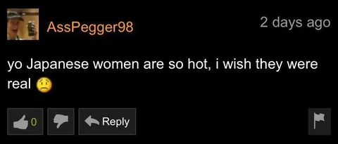 Japanese Women Wish They Were Real