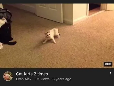 Cat Farts Two Times