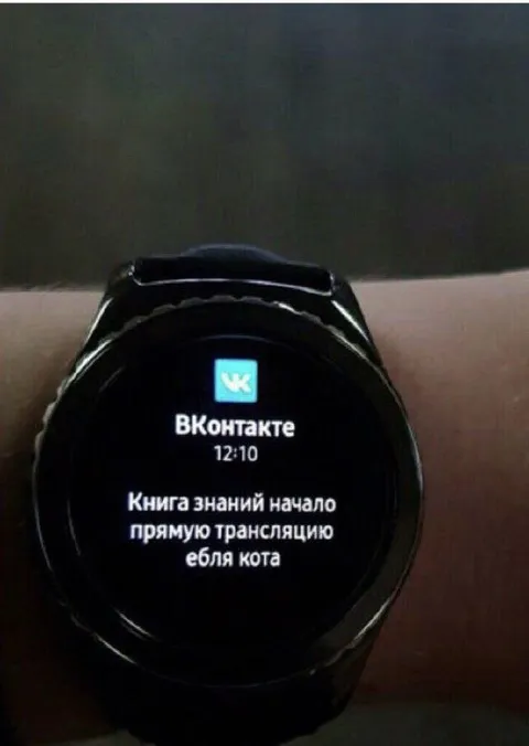 Книга знаний стримит еблю кота