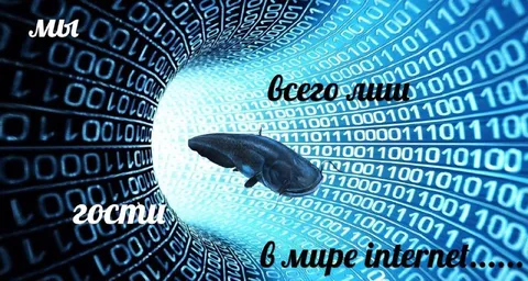 Мы всего лишь гости в интернете