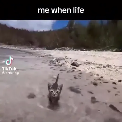 Me When Life Keeps Coming