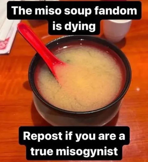 Miso Soup Fandom Is Dying