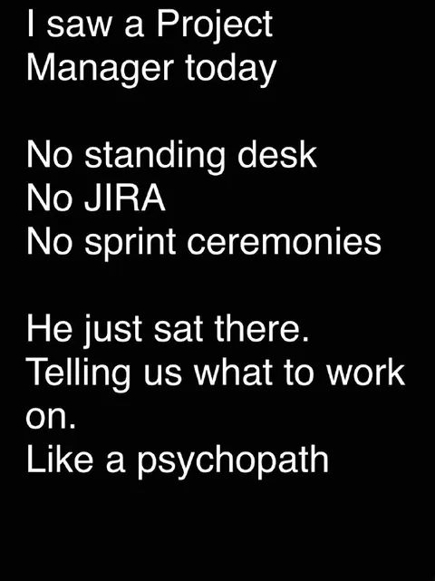 Project Manager Without Agile