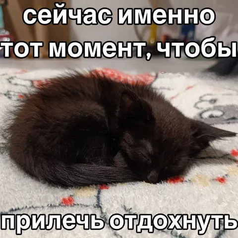 Котёнок прилёг отдохнуть