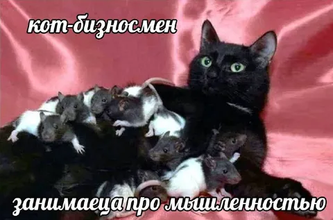 Кот-бизнесмен занимается мышленностью