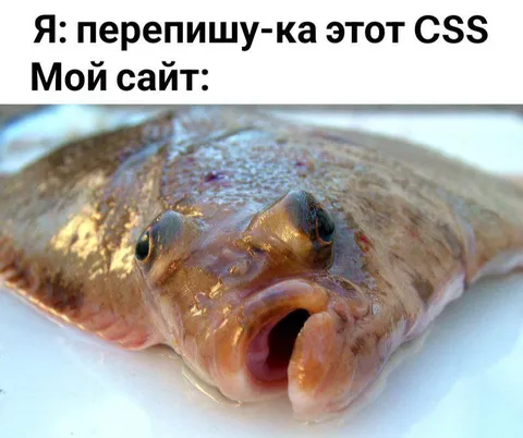 Переписал CSS — мой сайт