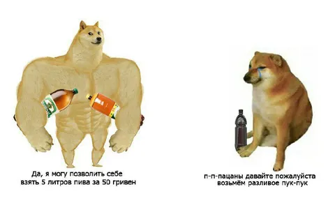 Сильный доге и разливное пиво