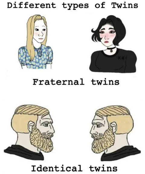 Different Types of Twins