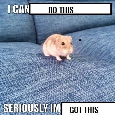 Hamster Says I Can Do This