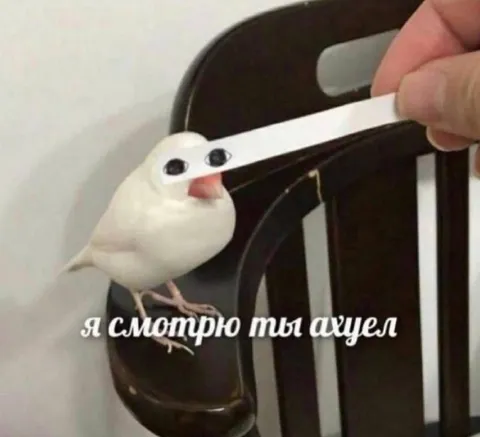 Я смотрю, ты ахуел
