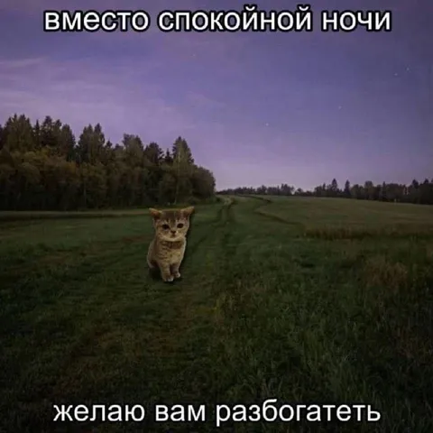 Вместо спокойной ночи