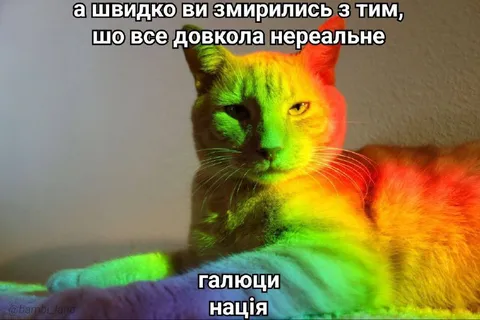 Галюцинації нація і нереальність