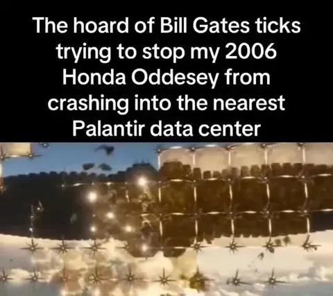 Ticks Attack the Palantir Data Center