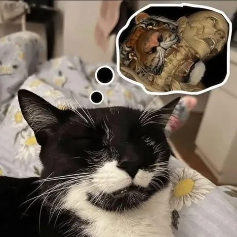 Кот мечтает о тигре
