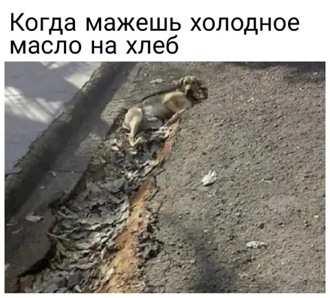 Холодное масло на хлеб