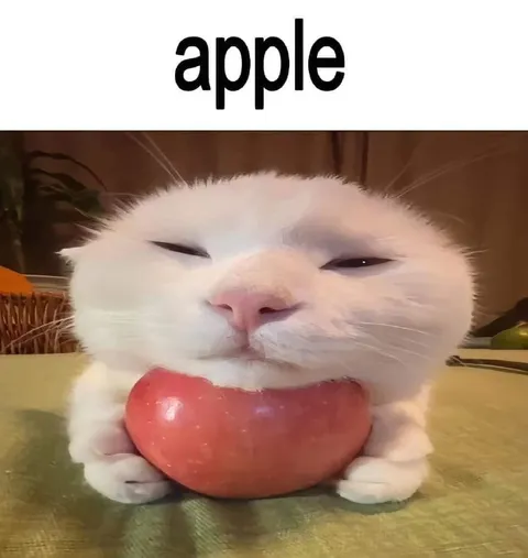 Cat with an Apple