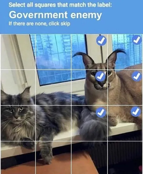 Government Enemy Captcha Cats