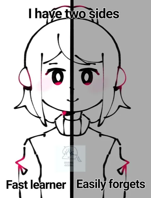 I Have Two Sides Fast Learner
