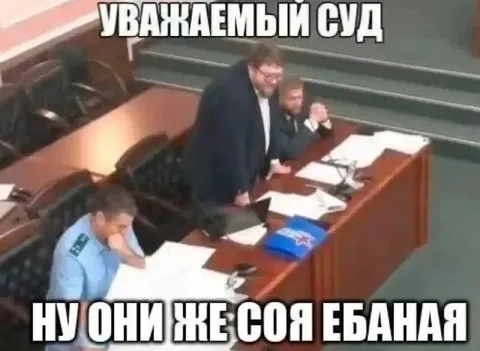 Уважаемый суд, ну они же соя