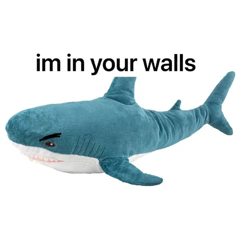 Shark in Your Walls