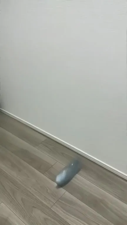 Бутылка против ноутбука