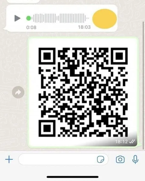 Голосовое сообщение в QR-коде
