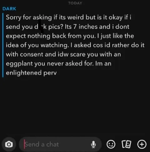 Enlightened Perv Dick Pic Request