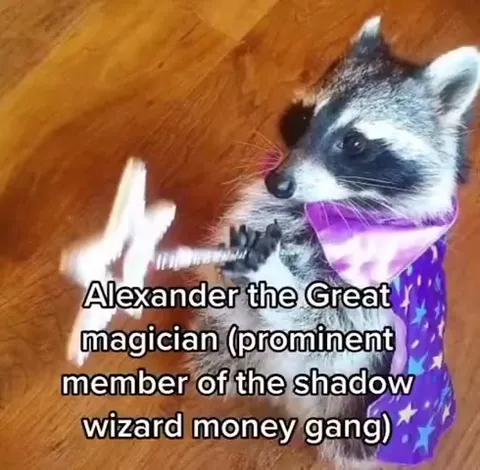 Raccoon Shadow Wizard Money Gang