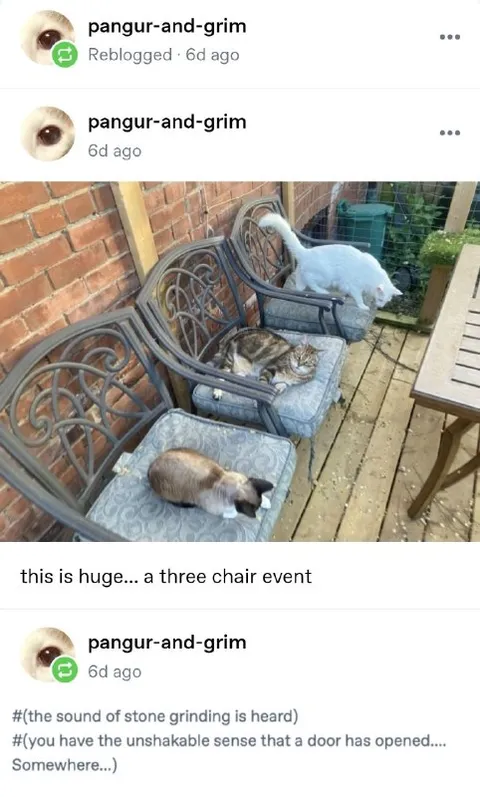Three Chair Event