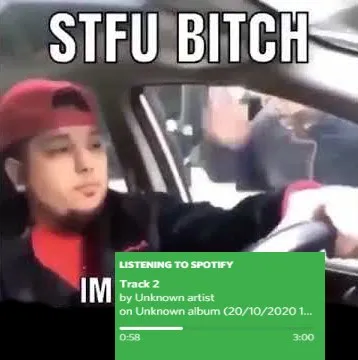 STFU Bitch Driving Reaction