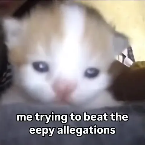 Kitten Fighting Sleep Allegations