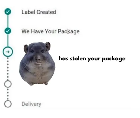 Hamster Stole Your Package