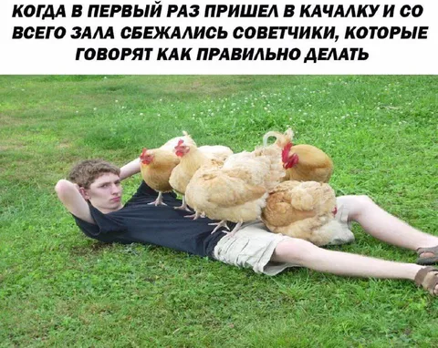 Советчики в качалке