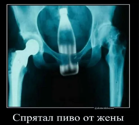 Спрятал пиво от жены