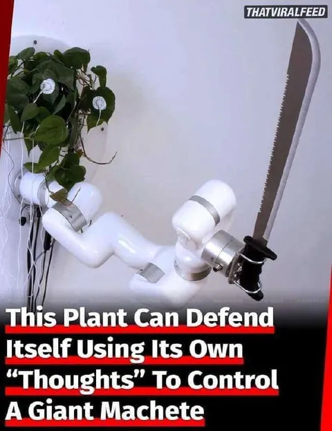 Plant Controls Giant Machete