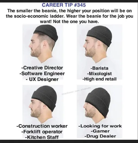 Beanie Career Ladder