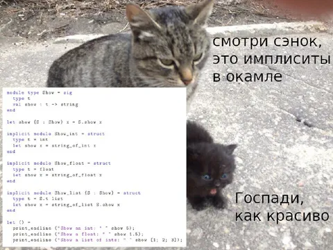 Имплиситы в Окамле