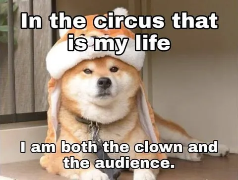 I Am Both the Clown and Audience