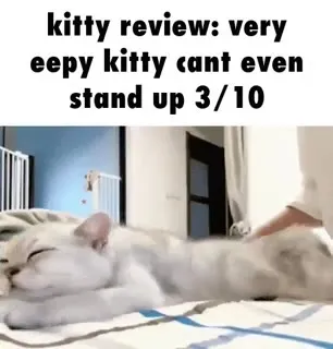 Very Eepy Kitty Review