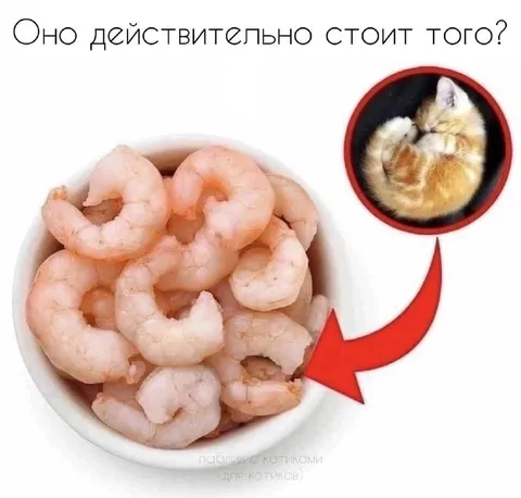 Креветки стоят того