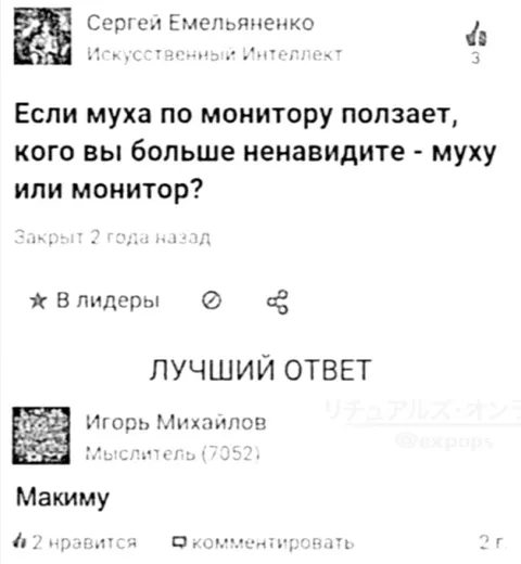 Муха или монитор