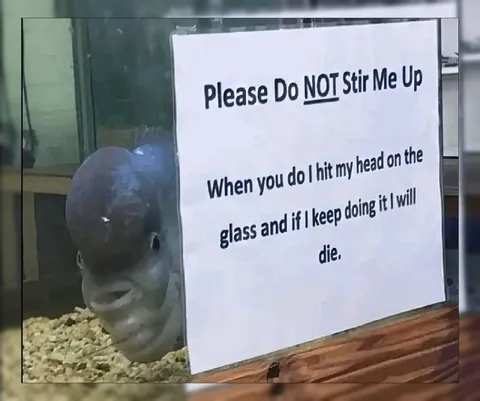 Please Do Not Stir Me Up