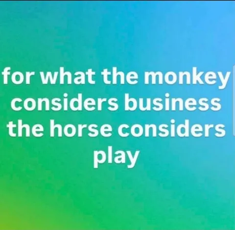 Monkey Business, Horse Play