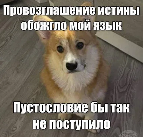 Пёс, обжёгшийся правдой
